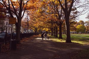 things to do in salem, should i book a hotel in salem ma