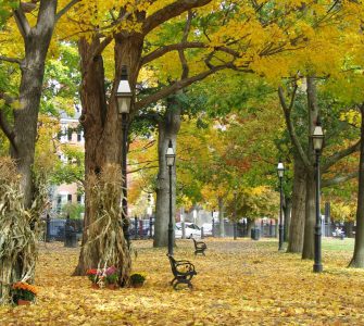 things to do in salem, free family movies on the salem common salem ma october 2022
