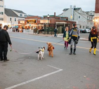 things to do in salem, howl o ween pet parade salem ma oct 2022